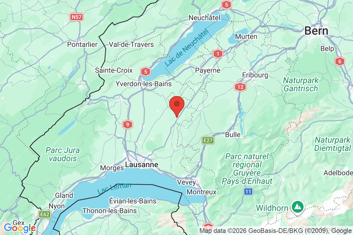 Kartenvorschau